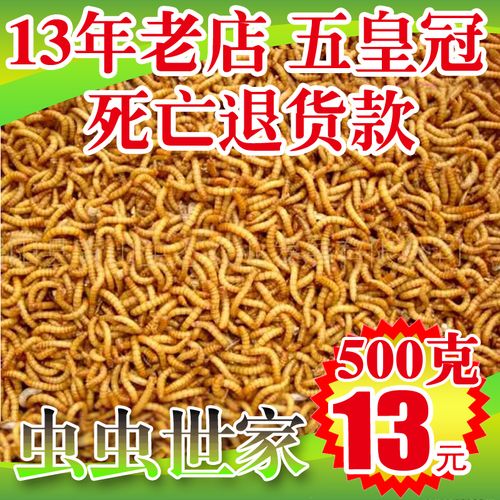 黄粉虫活体活虫鲜活虫种虫饲料鱼饵