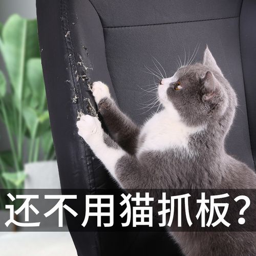 猫抓板窝磨爪器不掉屑立式猫玩具