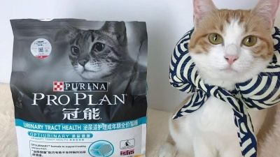 铲屎官必藏：猫咪泌尿疾病预防好物