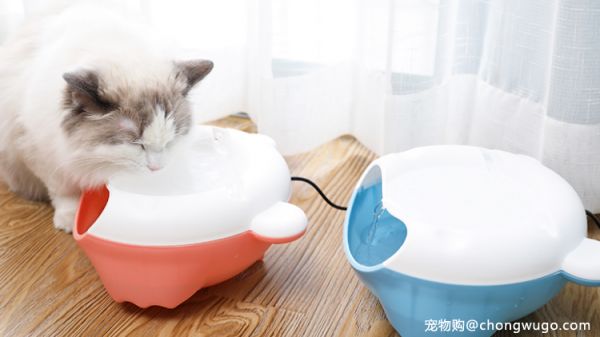 高颜值的饮水机，让猫咪爱上喝水~