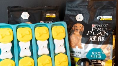 强化狗狗认知能力，冠能老年犬幸福礼盒