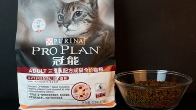 冠能优护益肾猫粮，拒绝肾脏危机