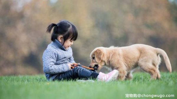 常见的宠物伴侣，能够陪伴孩子快乐成长！